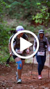 BIB:  <button type="button" onclick="openModal(27522114)" class="btn btn-primary btn-sm float-right" data-toggle="modal" data-target=".modal-high-quality">
                <i class="fa fa-download"></i> Download
                </button>